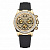 Cosmograph Daytona Eye of the Tiger Chronograph Automatic Chronometer Diamond Men's Watch 116588TBR